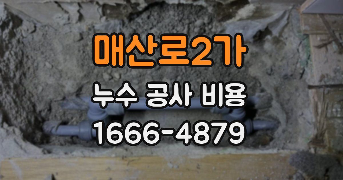 매산로2가 누수 공사 비용