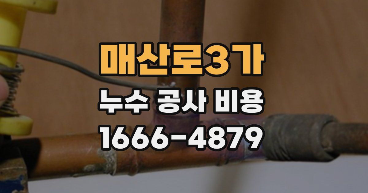 매산로3가 누수 공사 비용