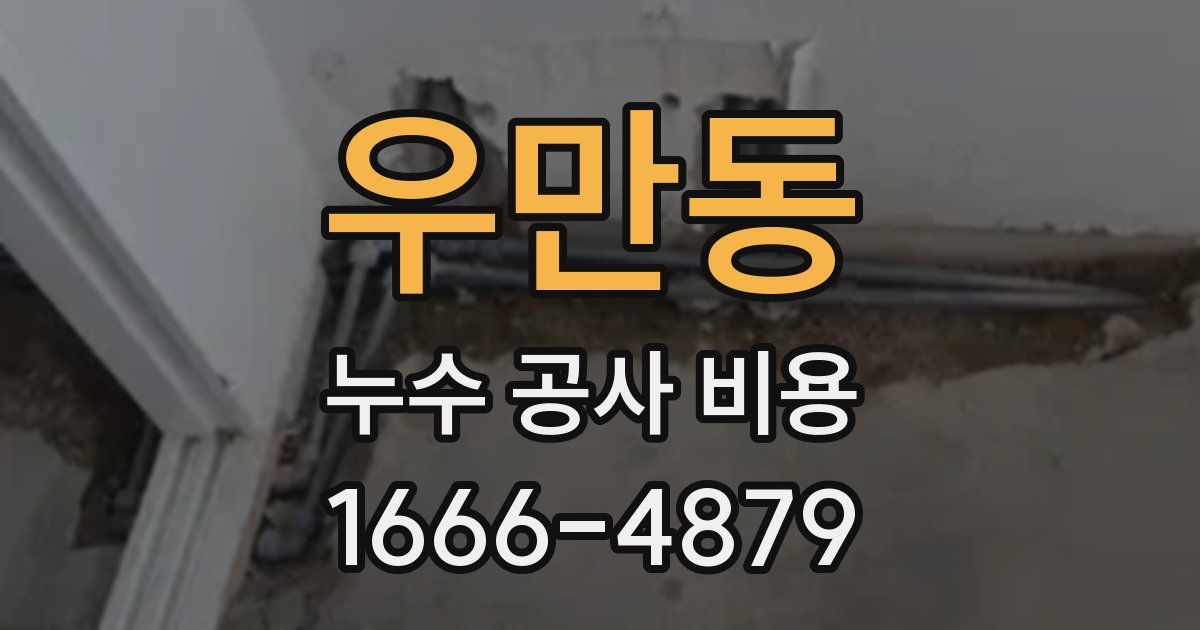 우만동 누수 공사 비용
