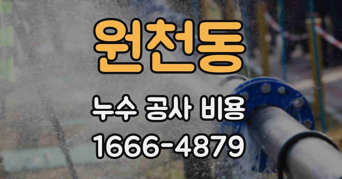 원천동 누수 공사 비용