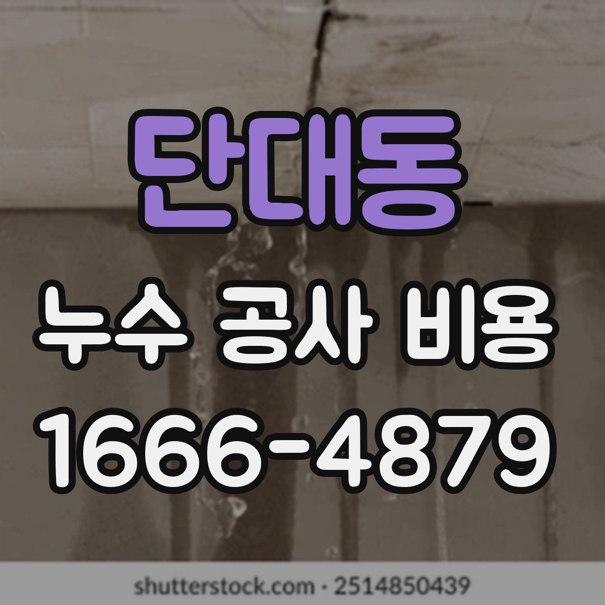 단대동 누수 공사 비용