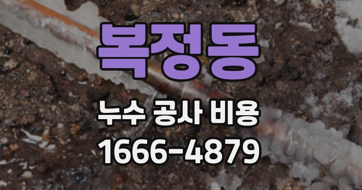 복정동 누수 공사 비용