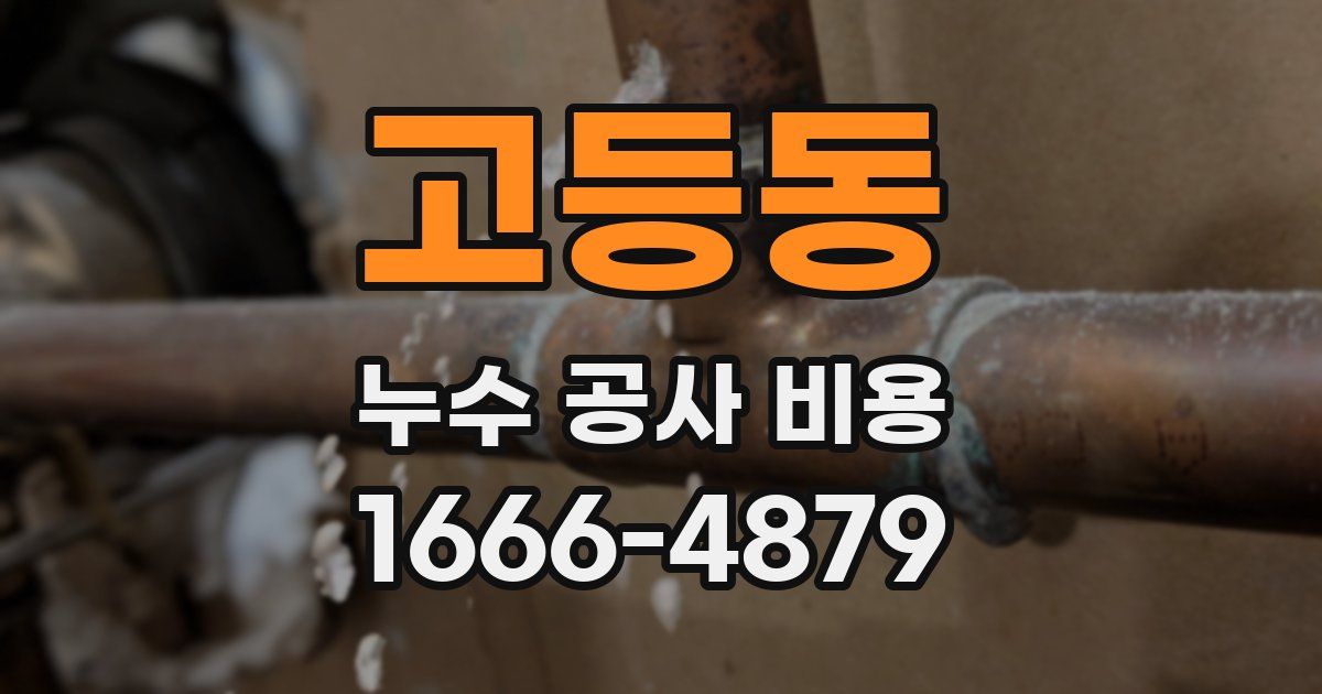 고등동 누수 공사 비용