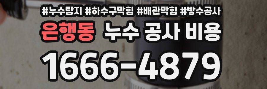 은행동 누수 공사 비용
