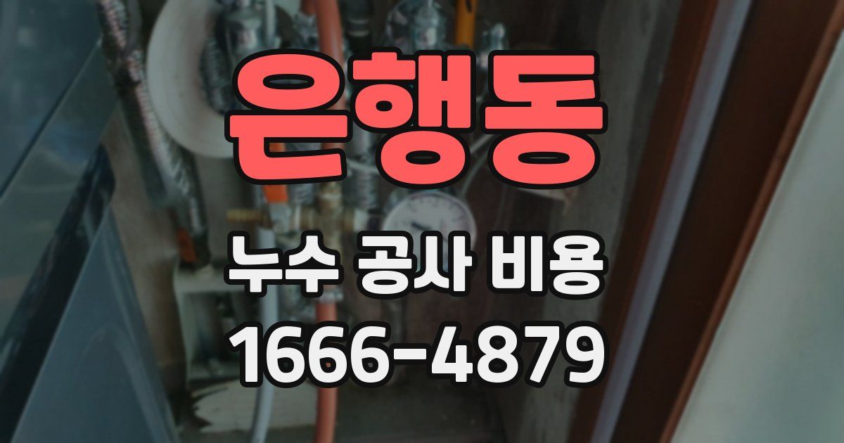 은행동 누수 공사 비용