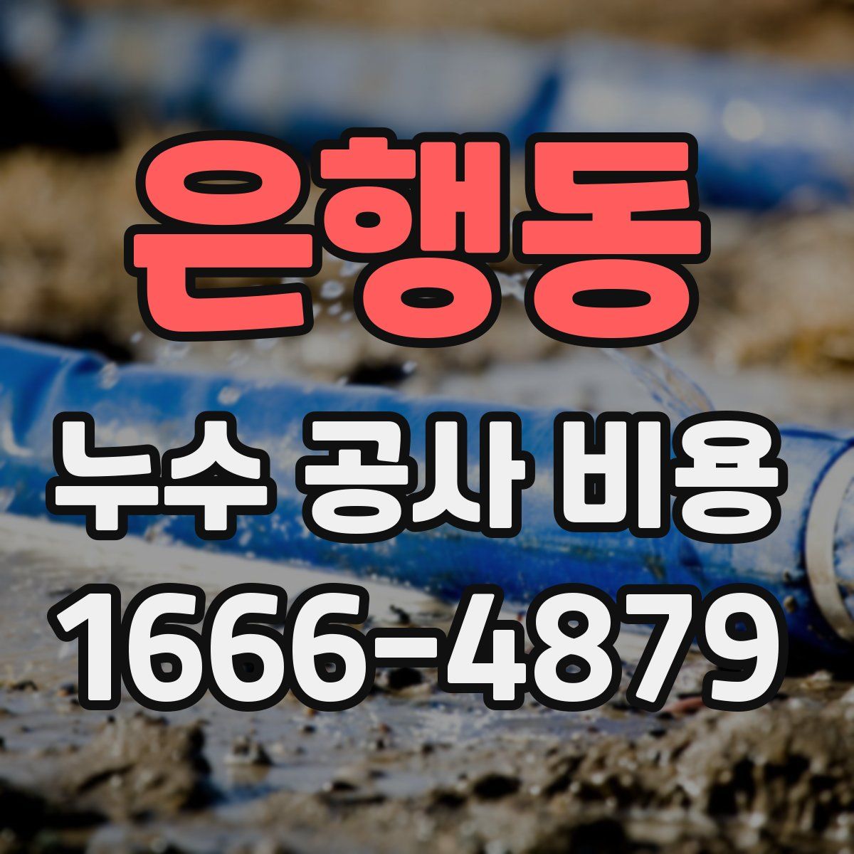은행동 누수 공사 비용