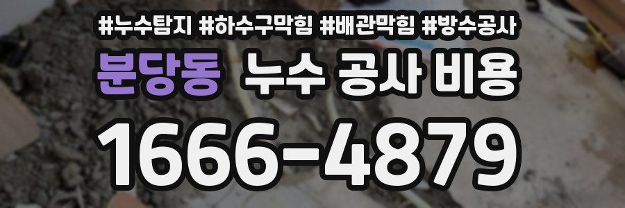 분당동 누수 공사 비용