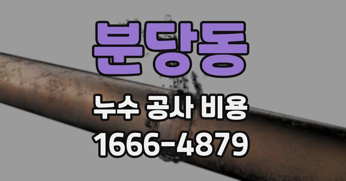 분당동 누수 공사 비용