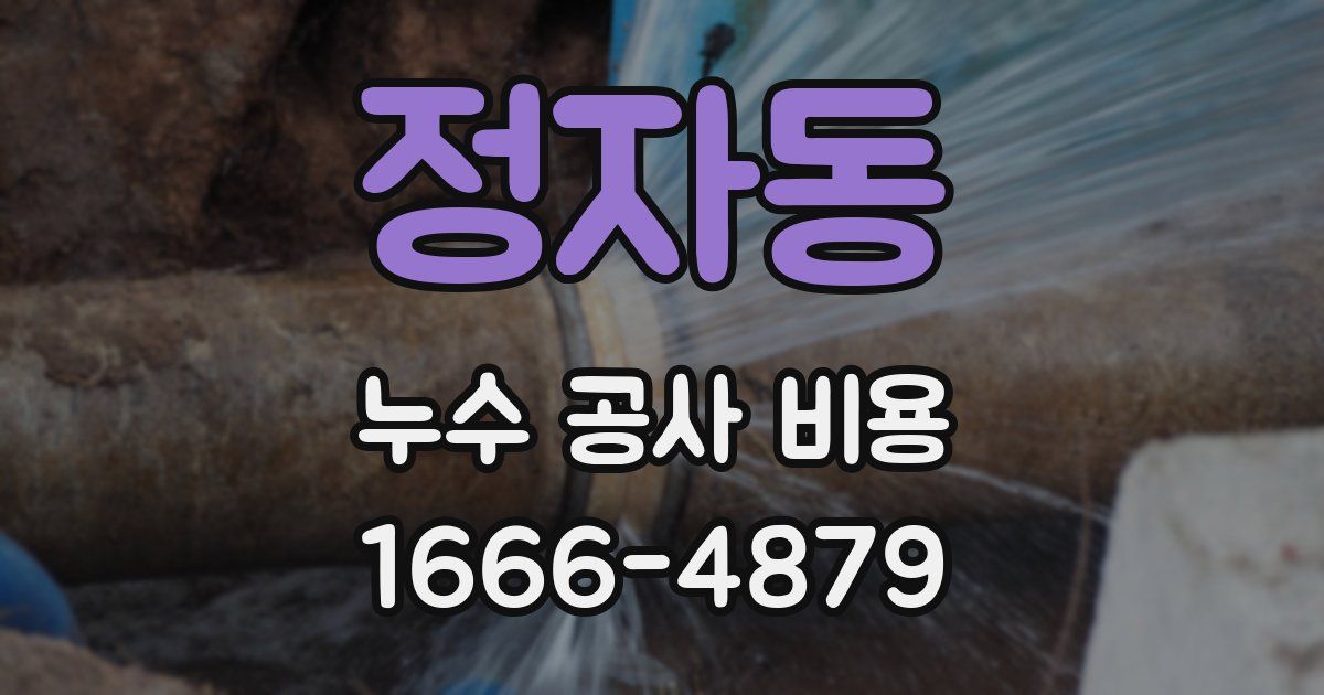 정자동 누수 공사 비용