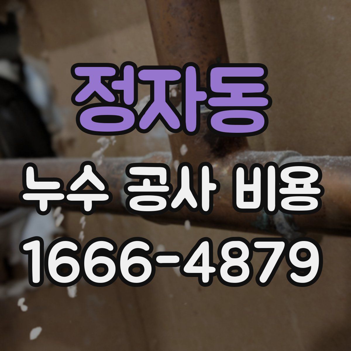 정자동 누수 공사 비용