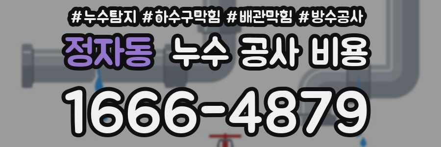 정자동 누수 공사 비용
