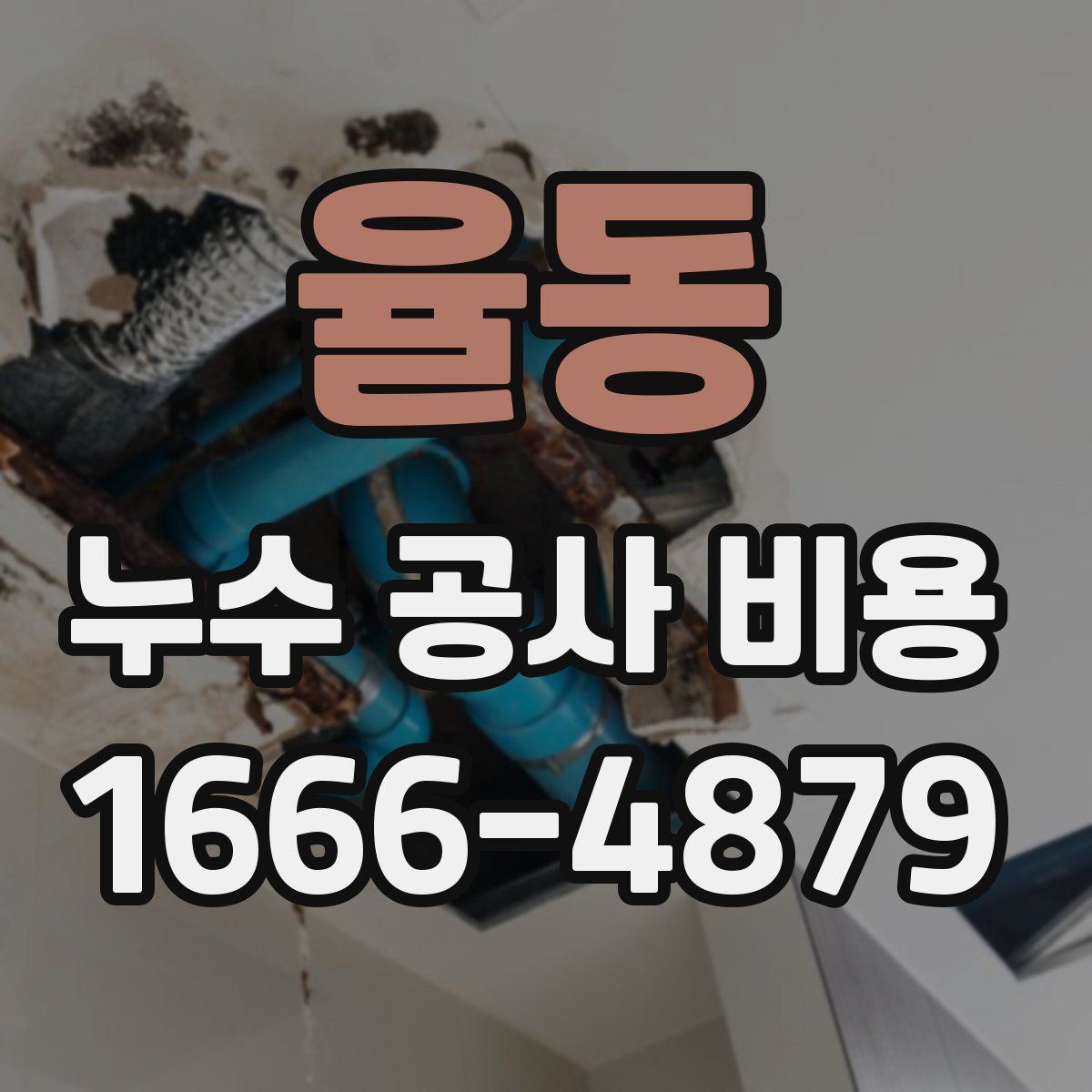 율동 누수 공사 비용