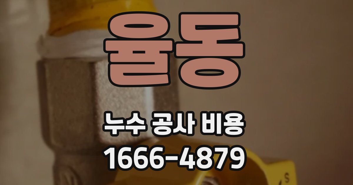 율동 누수 공사 비용