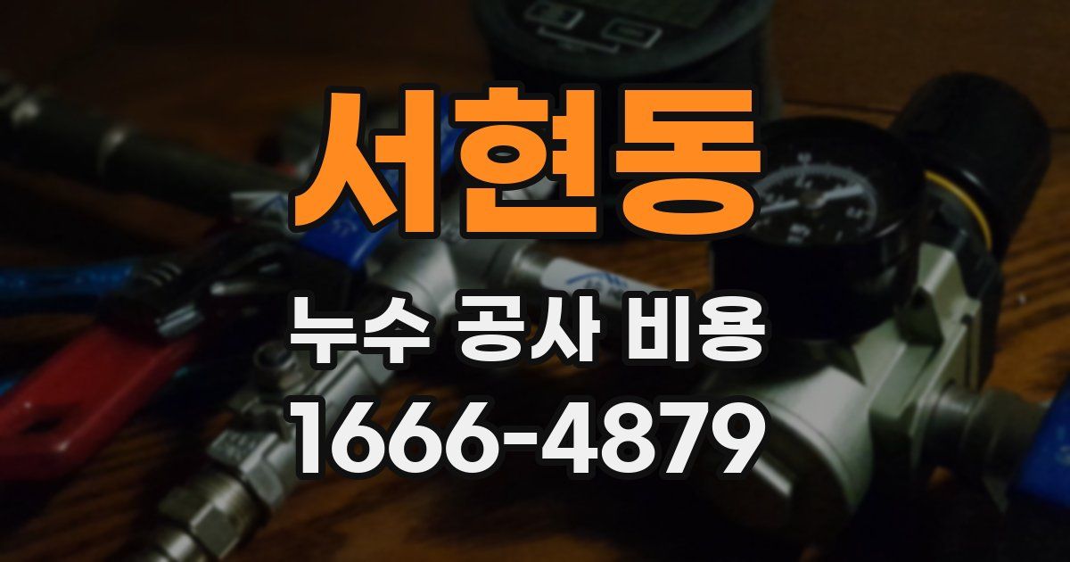 서현동 누수 공사 비용