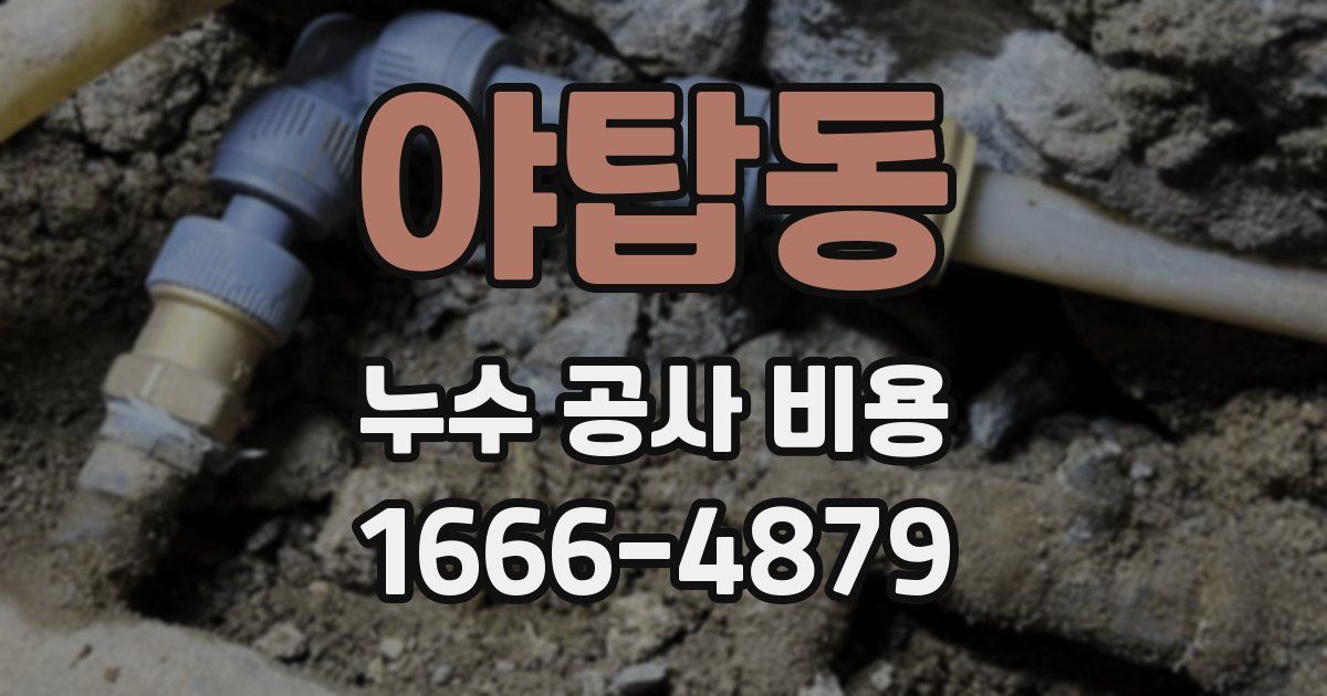 야탑동 누수 공사 비용