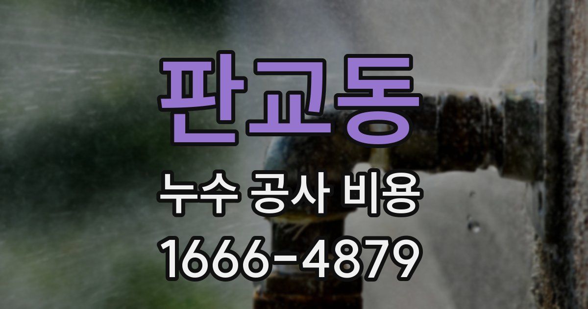 판교동 누수 공사 비용
