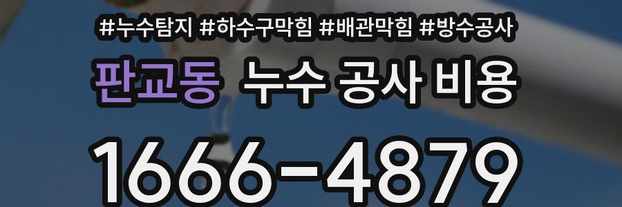 판교동 누수 공사 비용