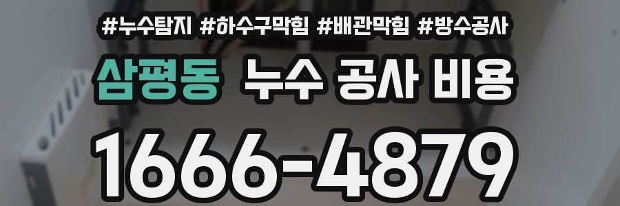 삼평동 누수 공사 비용