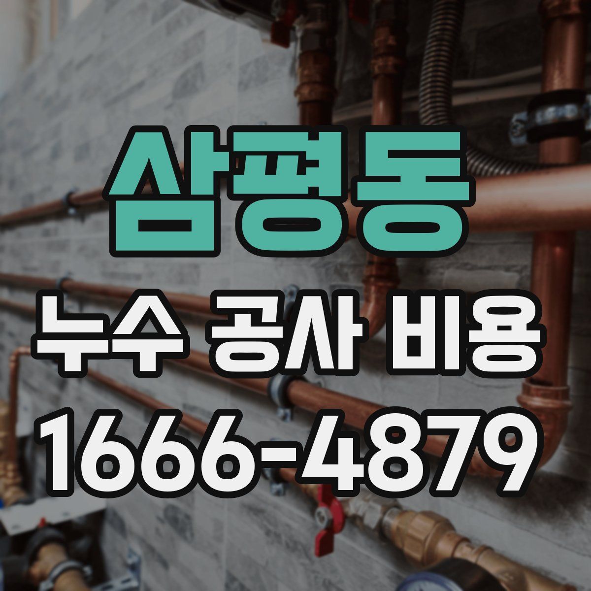 삼평동 누수 공사 비용