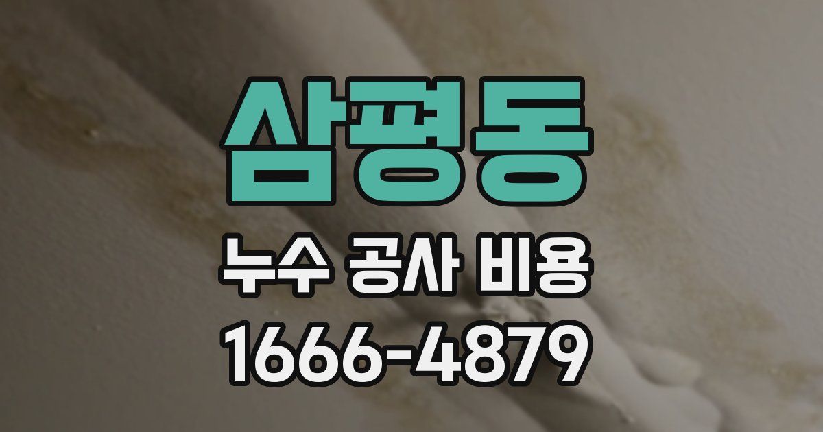 삼평동 누수 공사 비용