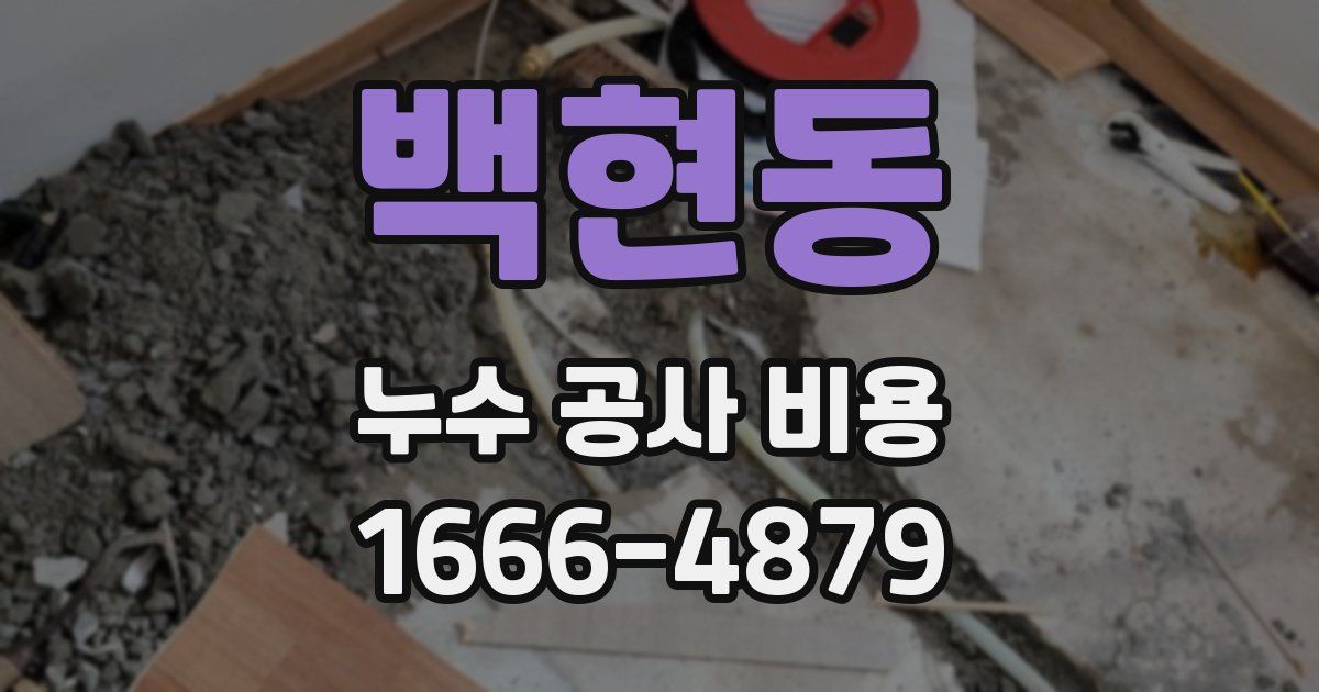 백현동 누수 공사 비용