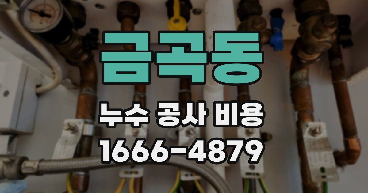 금곡동 누수 공사 비용
