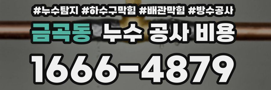 금곡동 누수 공사 비용