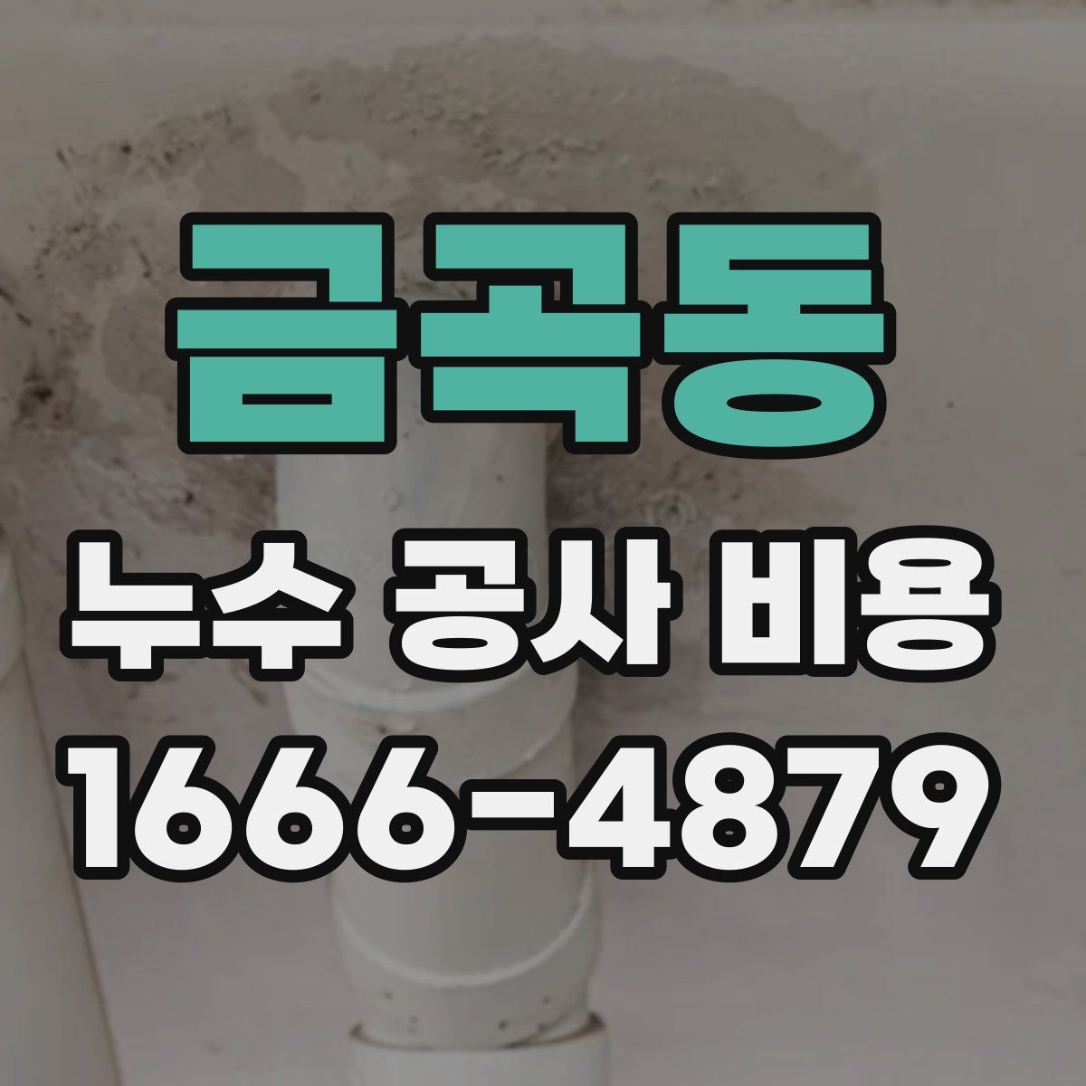 금곡동 누수 공사 비용