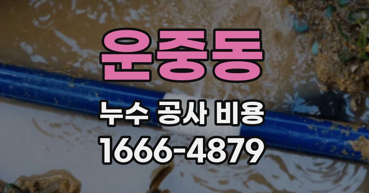 운중동 누수 공사 비용