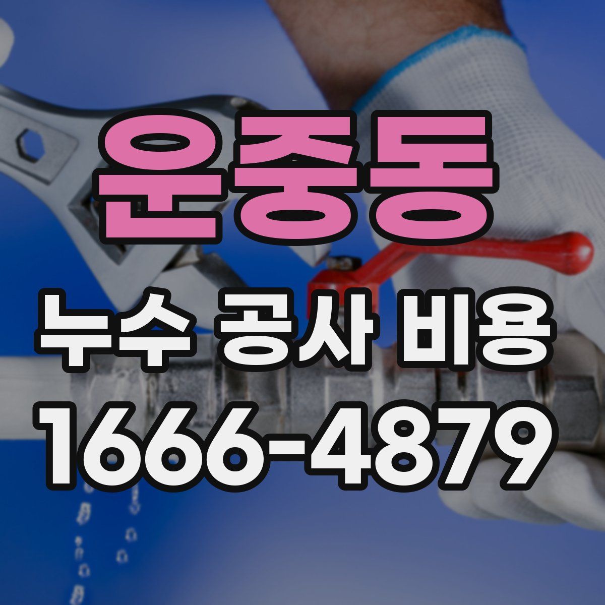 운중동 누수 공사 비용