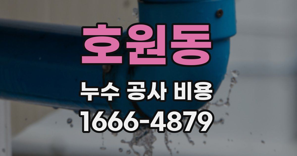 호원동 누수 공사 비용