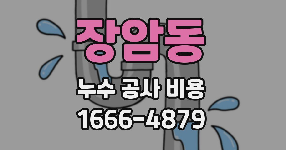 장암동 누수 공사 비용