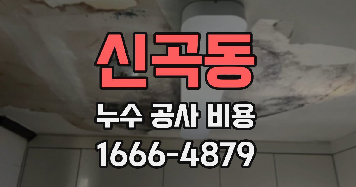 신곡동 누수 공사 비용