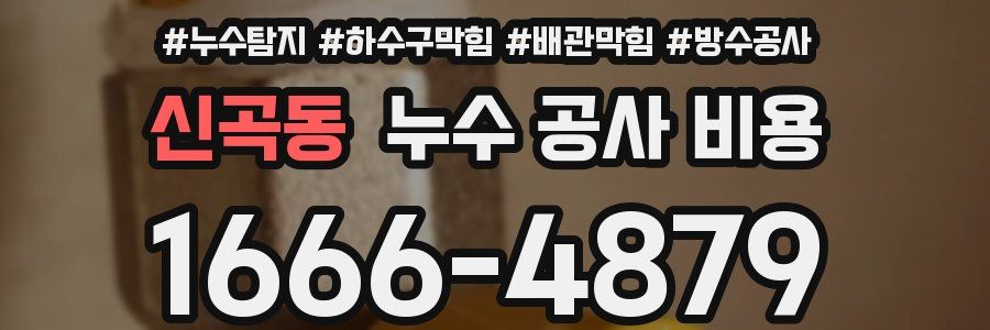 신곡동 누수 공사 비용