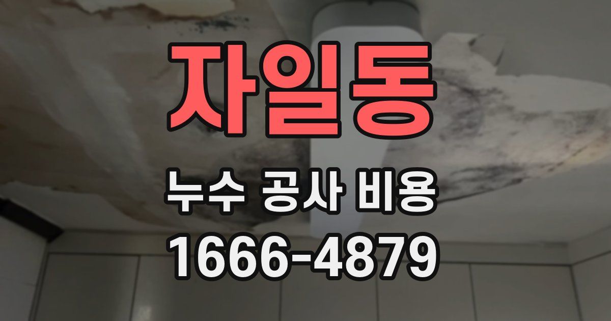 자일동 누수 공사 비용