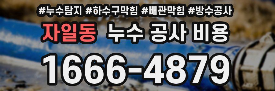 자일동 누수 공사 비용
