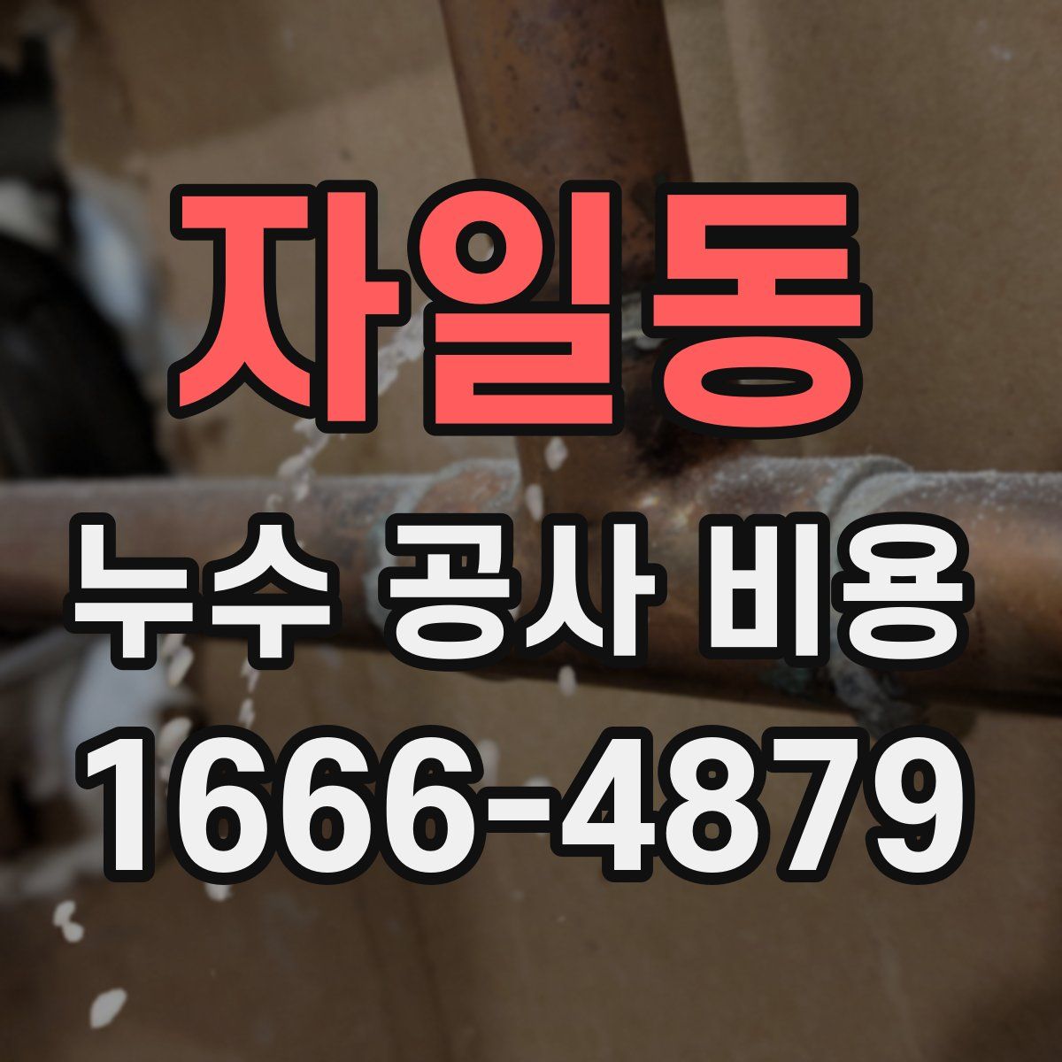 자일동 누수 공사 비용