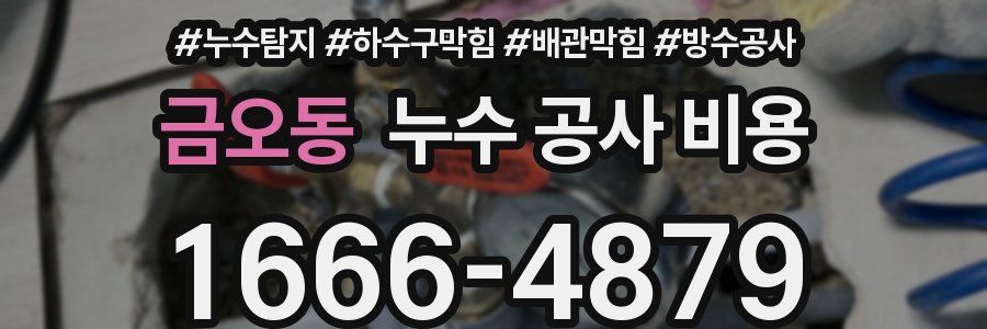 금오동 누수 공사 비용