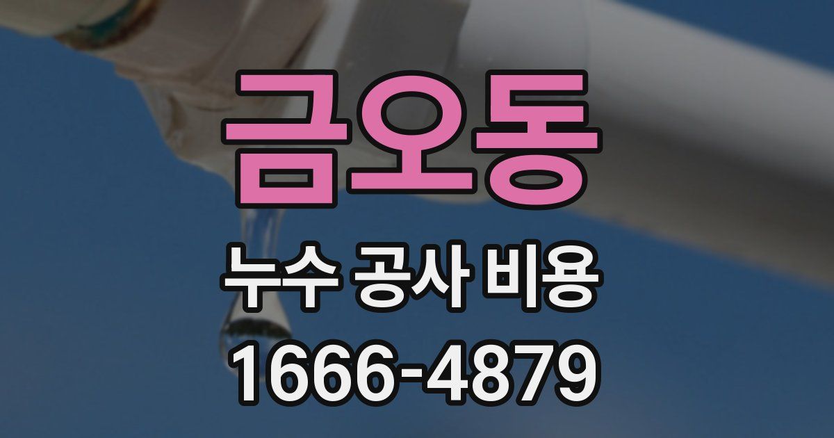 금오동 누수 공사 비용