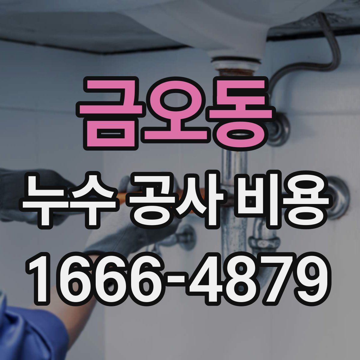 금오동 누수 공사 비용
