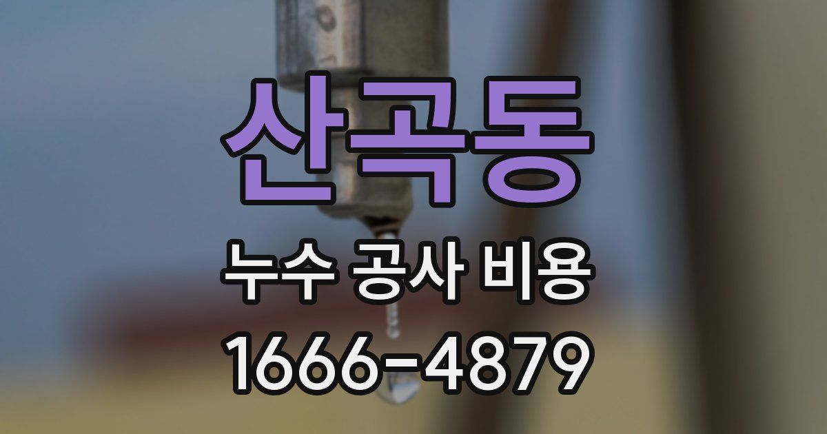 산곡동 누수 공사 비용