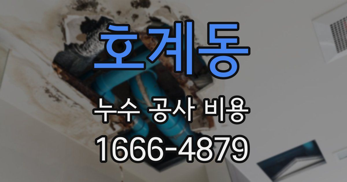 호계동 누수 공사 비용