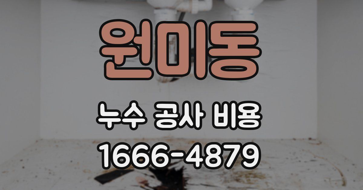 원미동 누수 공사 비용