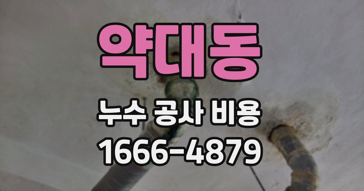 약대동 누수 공사 비용