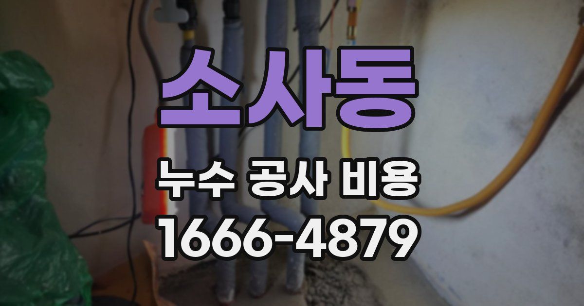 소사동 누수 공사 비용