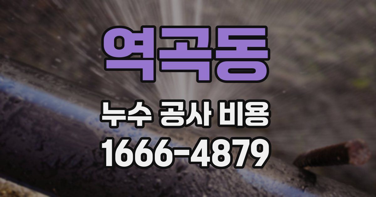 역곡동 누수 공사 비용