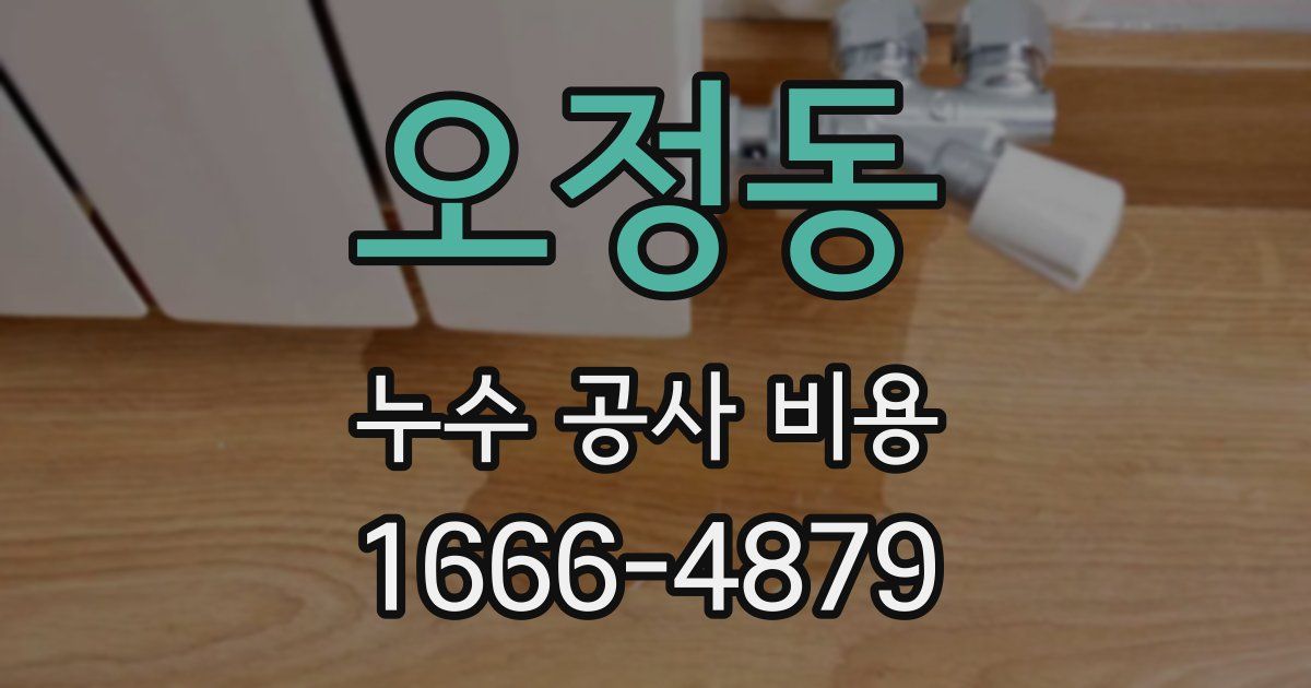 오정동 누수 공사 비용