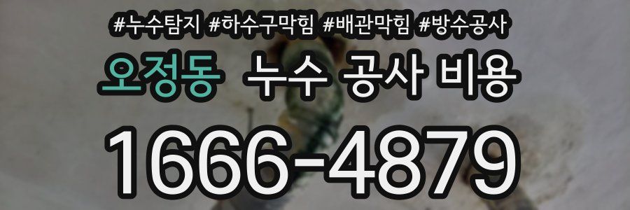 오정동 누수 공사 비용