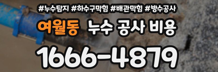 여월동 누수 공사 비용
