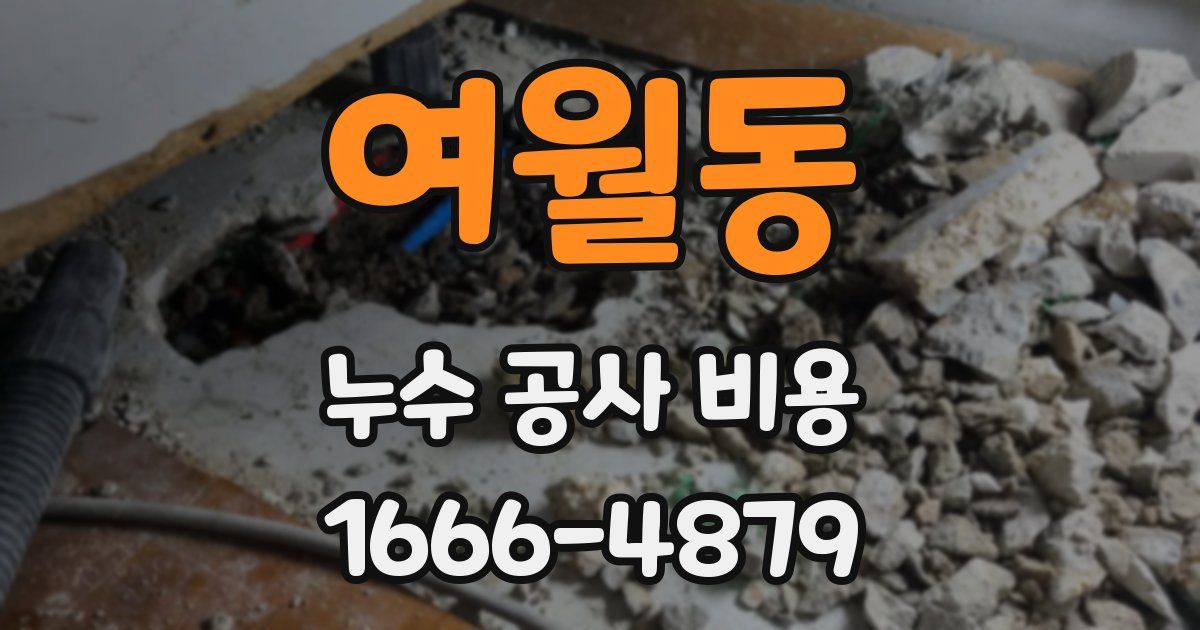여월동 누수 공사 비용